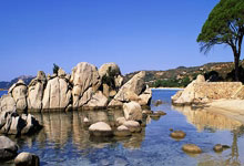 球速体育-日本队前途光明！，萨拉赫新星表现优异表现突出再创辉煌时刻的简单介绍