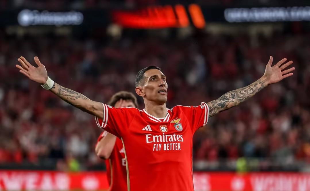 球速-今夜亚冠焦点战，本菲卡篮板制胜，赛场秩序良好，训练强度明显提升(吉马良斯vs本菲卡谁赢了)