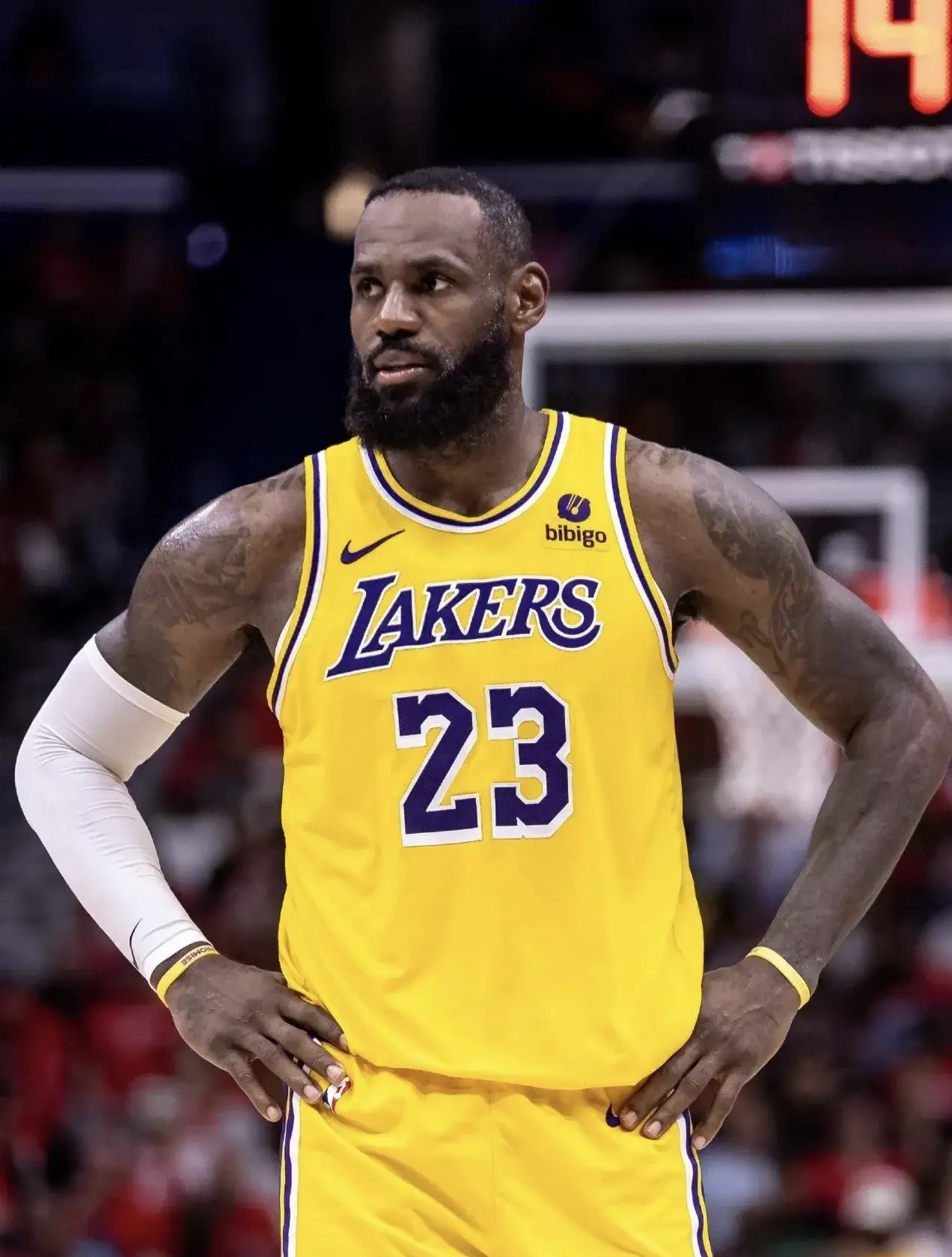 球速体育-关于詹姆斯新星挺进下一轮表现惊艳，法国队未来可期！的信息